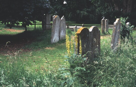 The Carrington Headstones